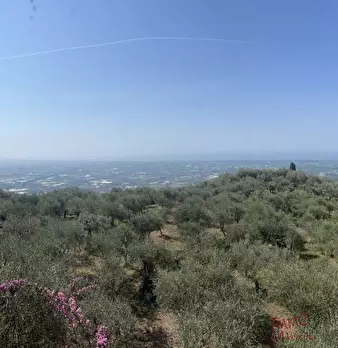 Foto annuncio 4