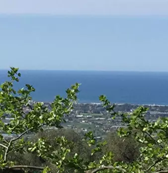 Foto annuncio 3