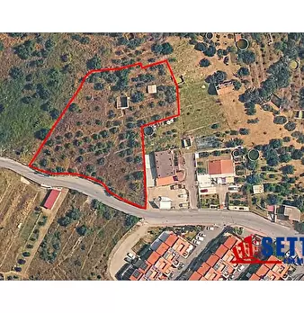 Foto annuncio 3