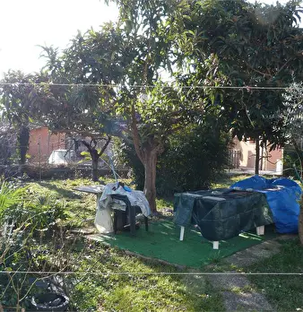 Foto annuncio 6
