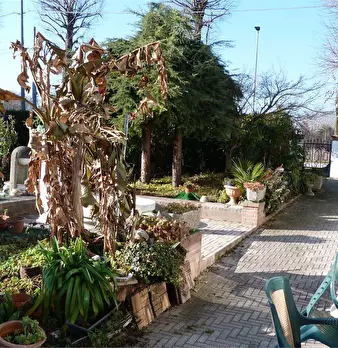 Foto annuncio 4