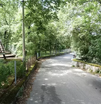 Foto annuncio 1