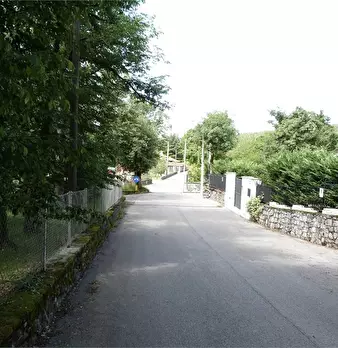 Foto annuncio 5