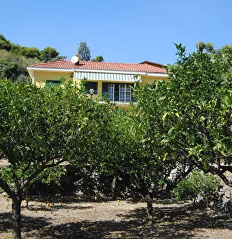 Foto annuncio 5