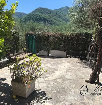 Foto annuncio 4