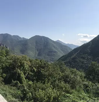 Foto annuncio 9