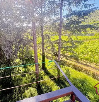 Foto annuncio 9