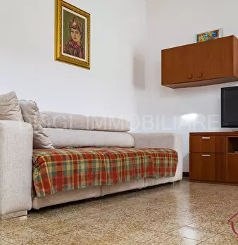 Foto annuncio 7