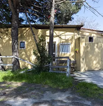 Foto annuncio 9