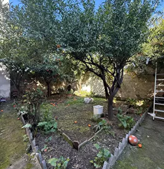 Foto annuncio 3