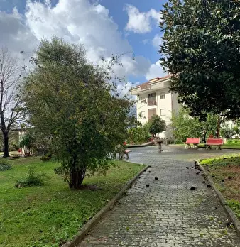 Foto annuncio 1