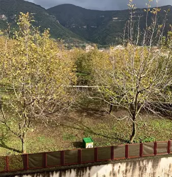 Foto annuncio 10