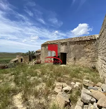 Foto annuncio 7