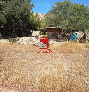 Foto annuncio 4