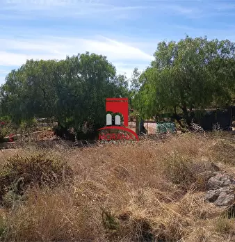 Foto annuncio 9
