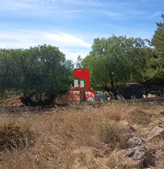 Foto annuncio 6