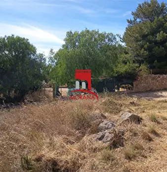 Foto annuncio 10