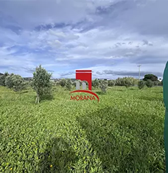 Foto annuncio 8