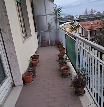 Foto annuncio 7
