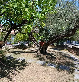 Foto annuncio 3