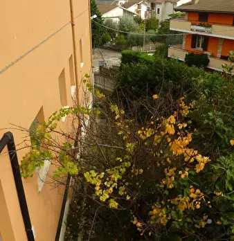 Foto annuncio 10