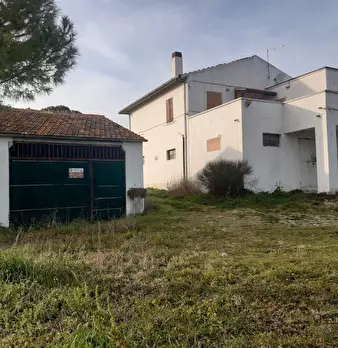 Foto annuncio 4