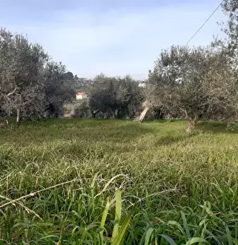 Foto annuncio 9