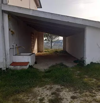 Foto annuncio 5