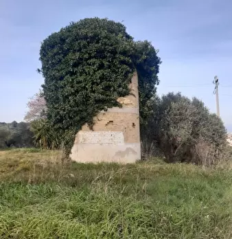 Foto annuncio 6