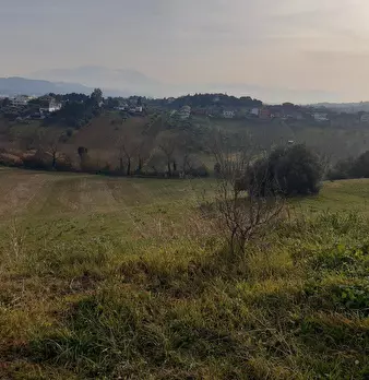 Foto annuncio 7