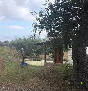 Foto annuncio 3