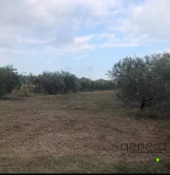 Foto annuncio 4