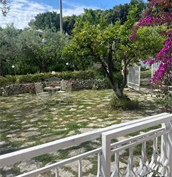 Foto annuncio 2