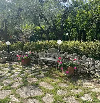 Foto annuncio 7