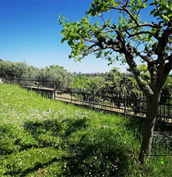 Foto annuncio 5