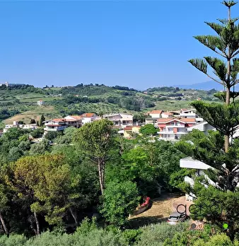 Foto annuncio 5