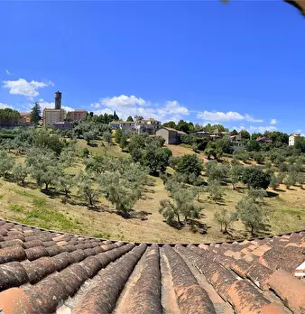 Foto annuncio 3