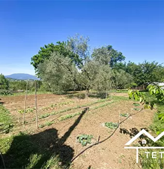 Foto annuncio 9