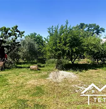 Foto annuncio 10