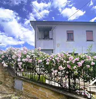 Foto annuncio 1