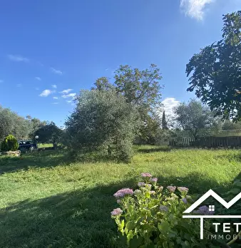 Foto annuncio 10