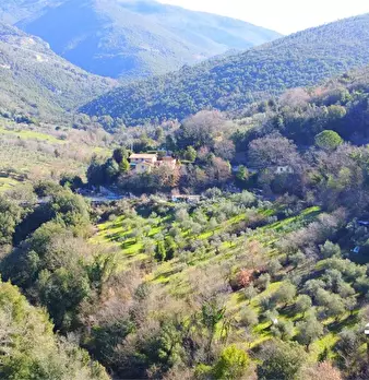 Foto annuncio 1