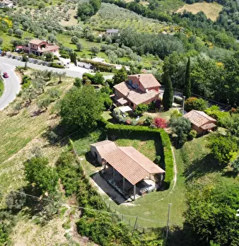 Foto annuncio 7