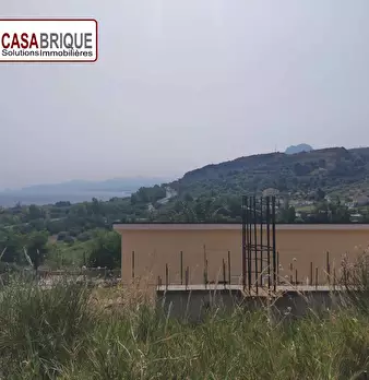 Foto annuncio 7