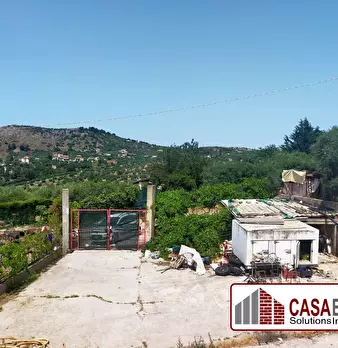 Foto annuncio 9