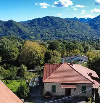 Foto annuncio 1