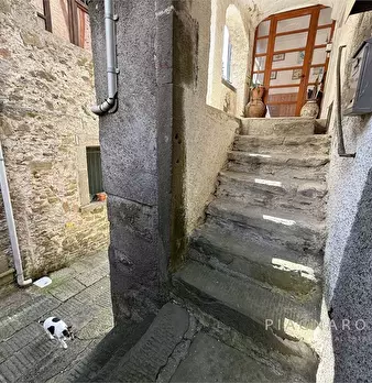 Foto annuncio 4