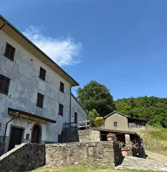 Foto annuncio 8
