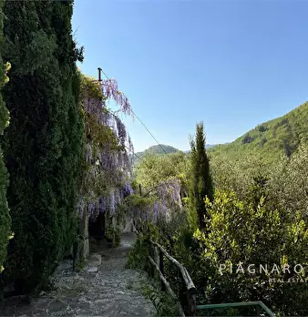 Foto annuncio 7