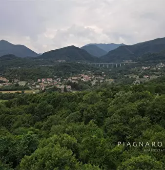 Foto annuncio 5